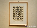 VBS_1208 - Castello di Miradolo - Mostra Oltre il giardino l'Abbecedario di paolo Pejrone